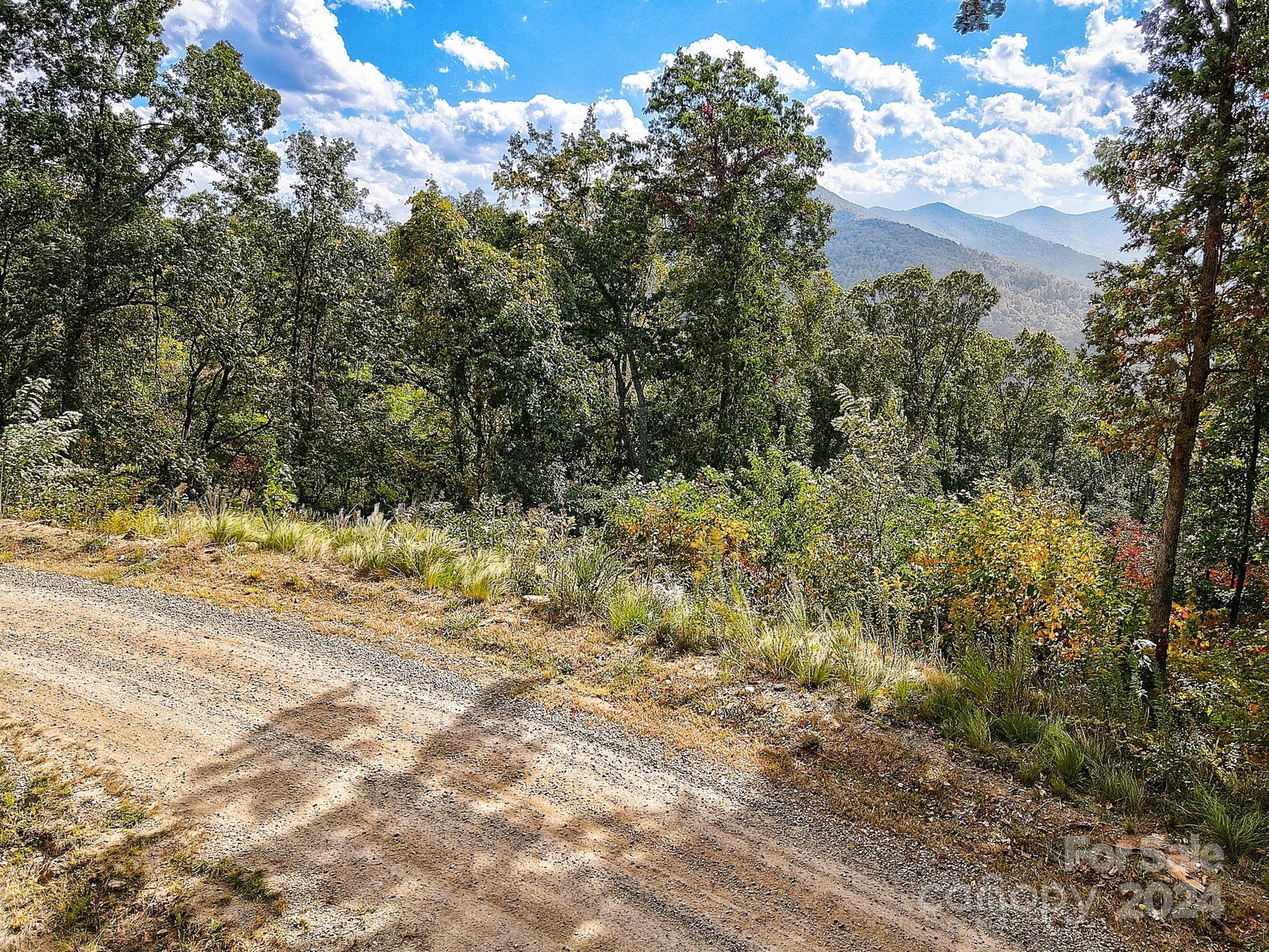 The Summit Of Asheville - Land