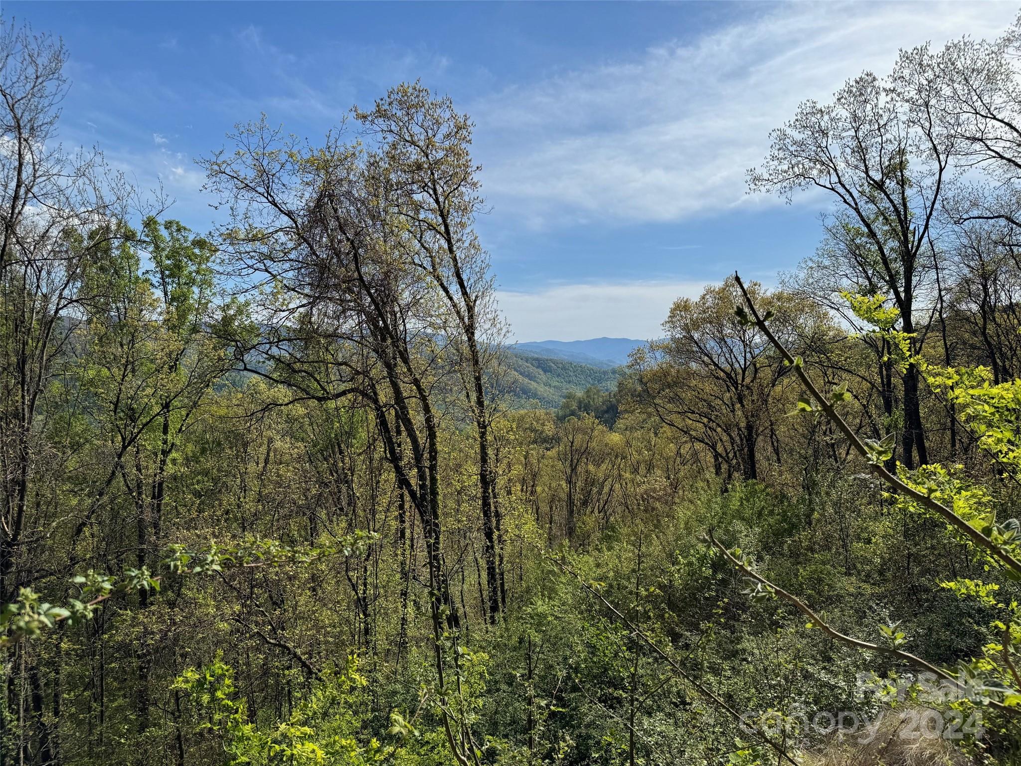 The Summit Of Asheville - Land