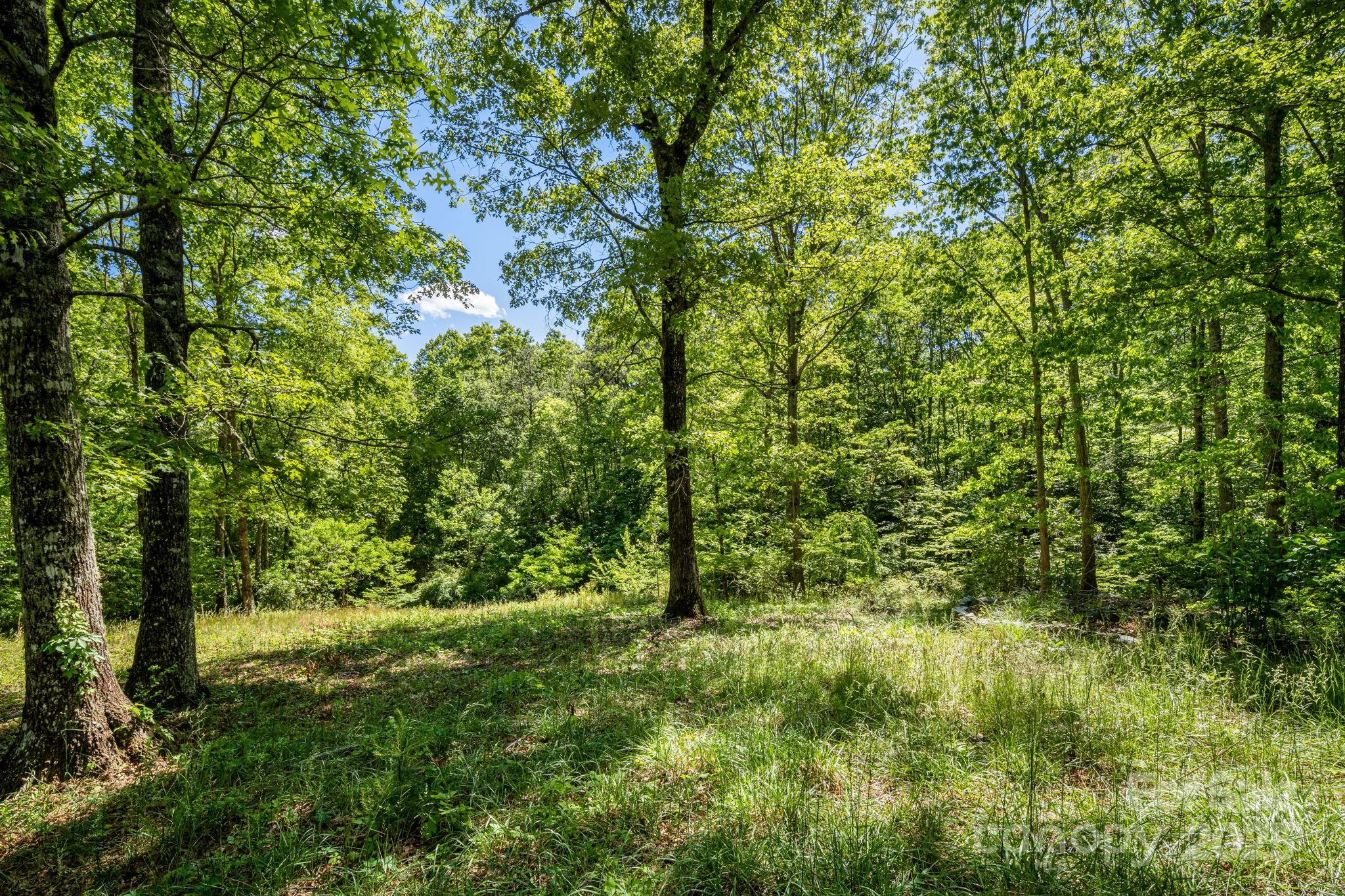 501 Deer Chase Circle