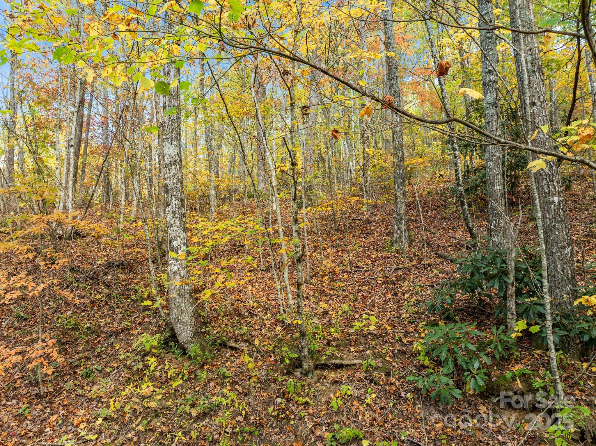Alpine Mountain - Land