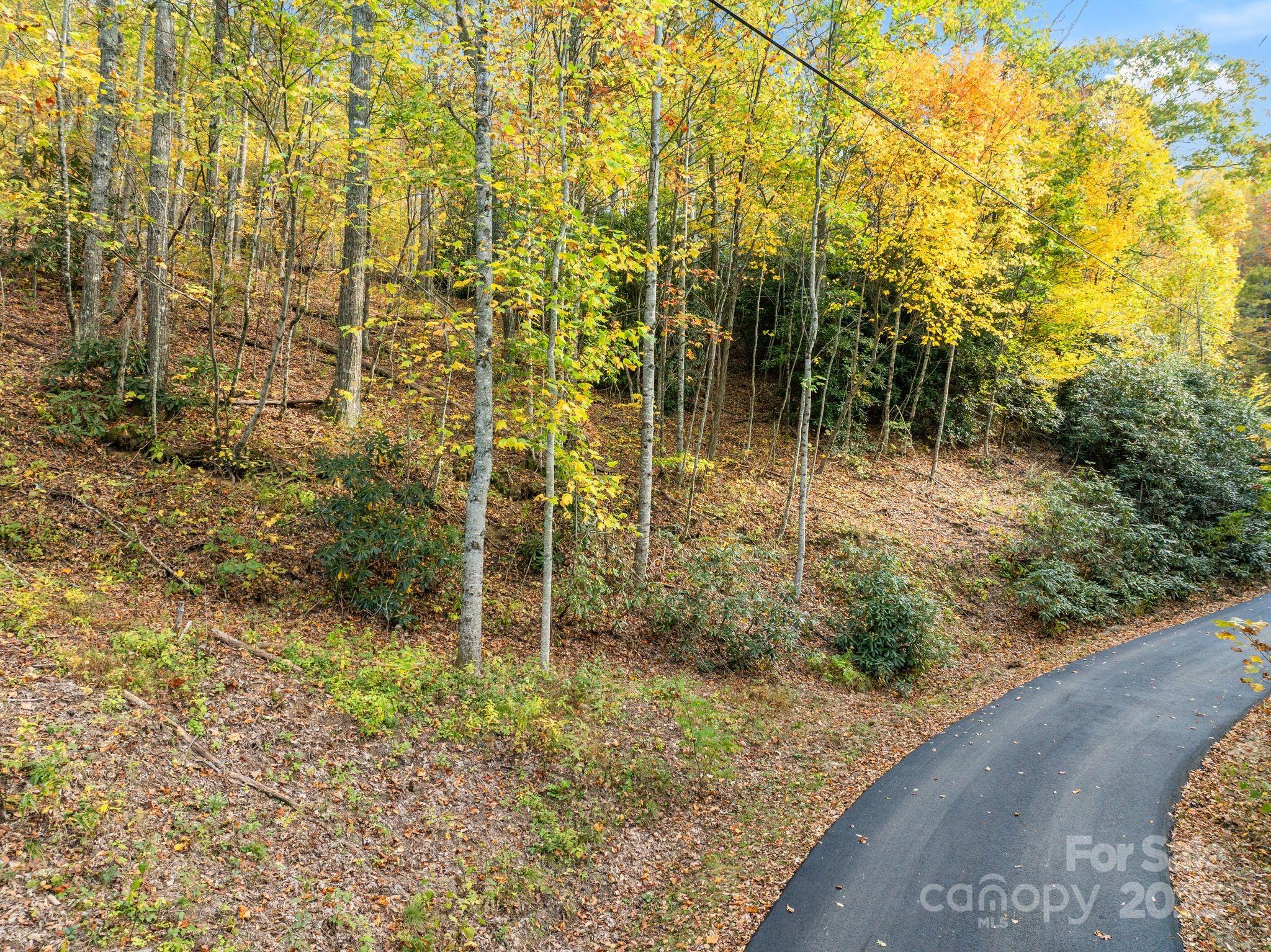 Alpine Mountain - Land