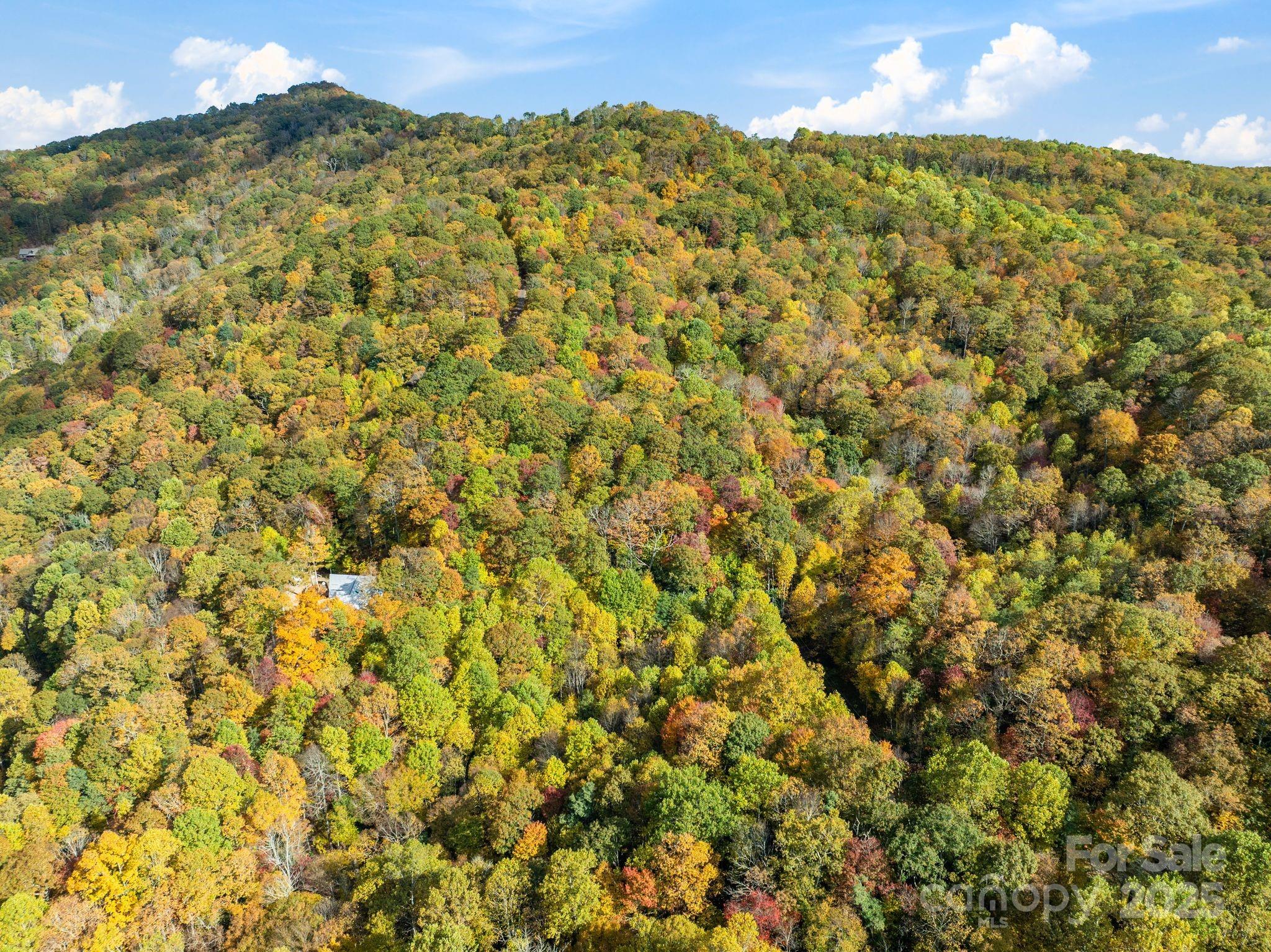 Alpine Mountain - Land