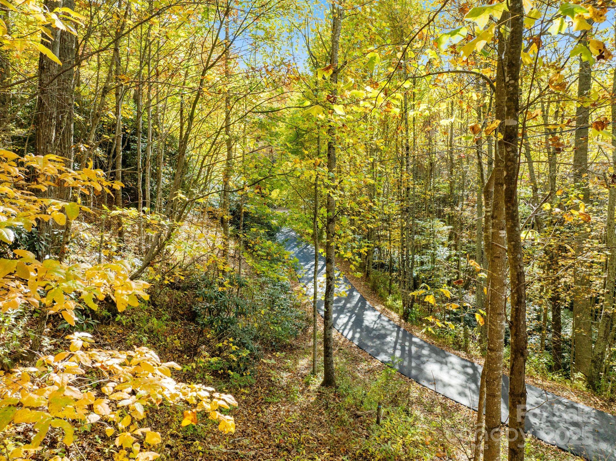 99999 Lytle Cove Road