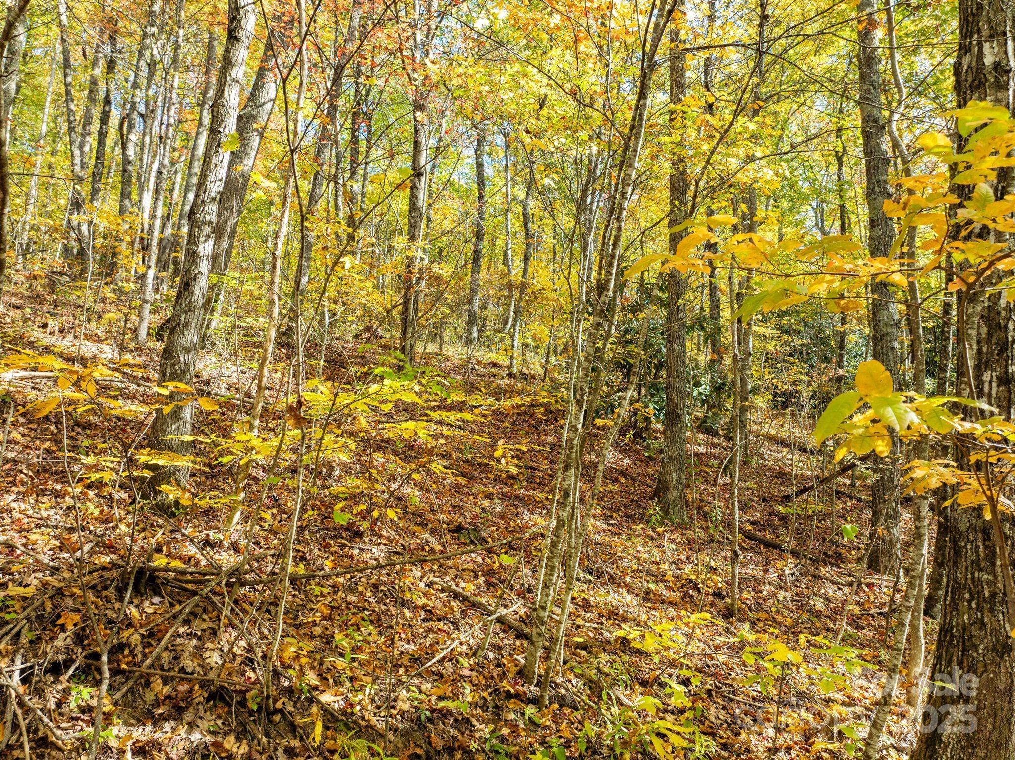 Alpine Mountain - Land