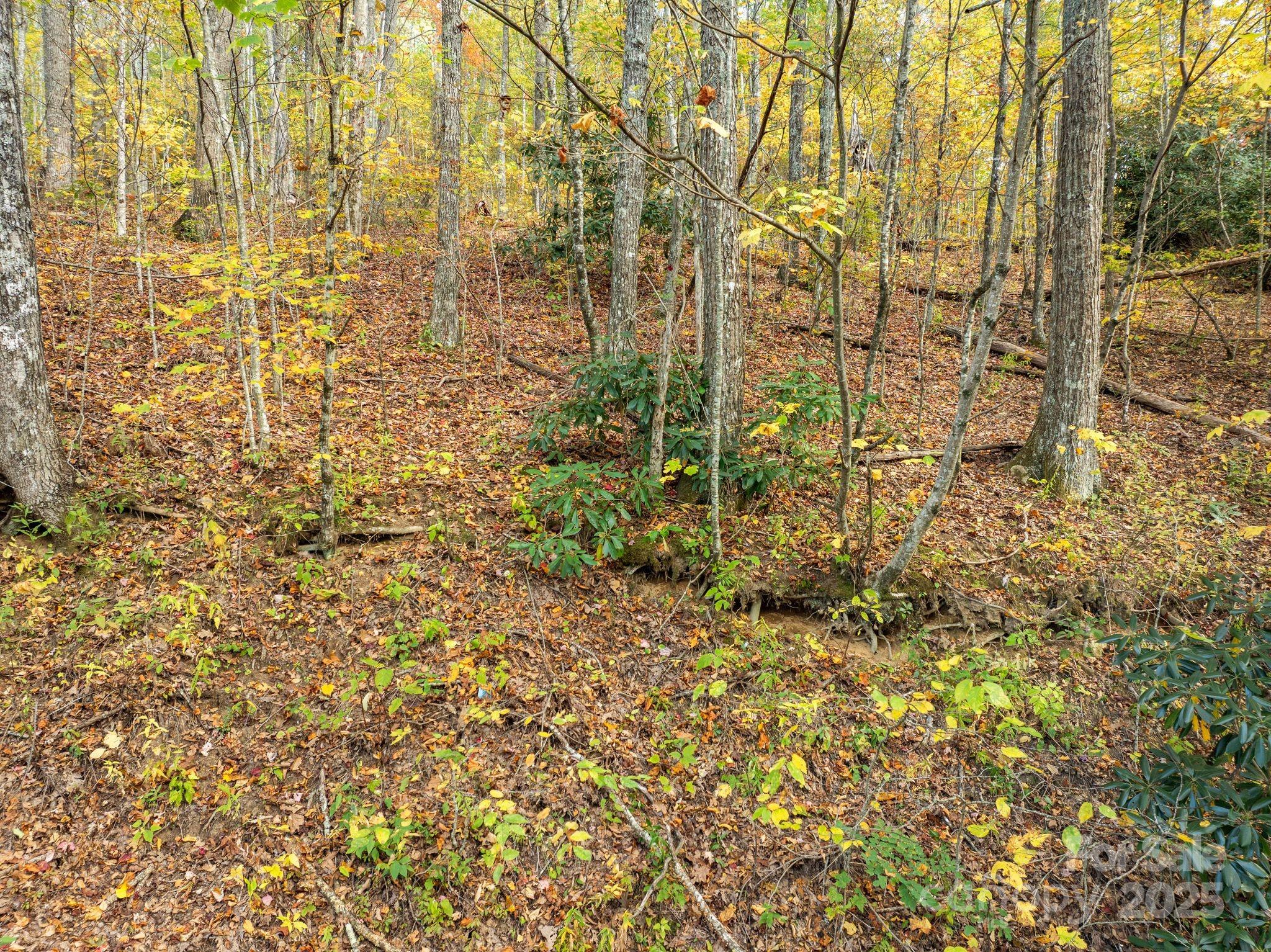 Alpine Mountain - Land