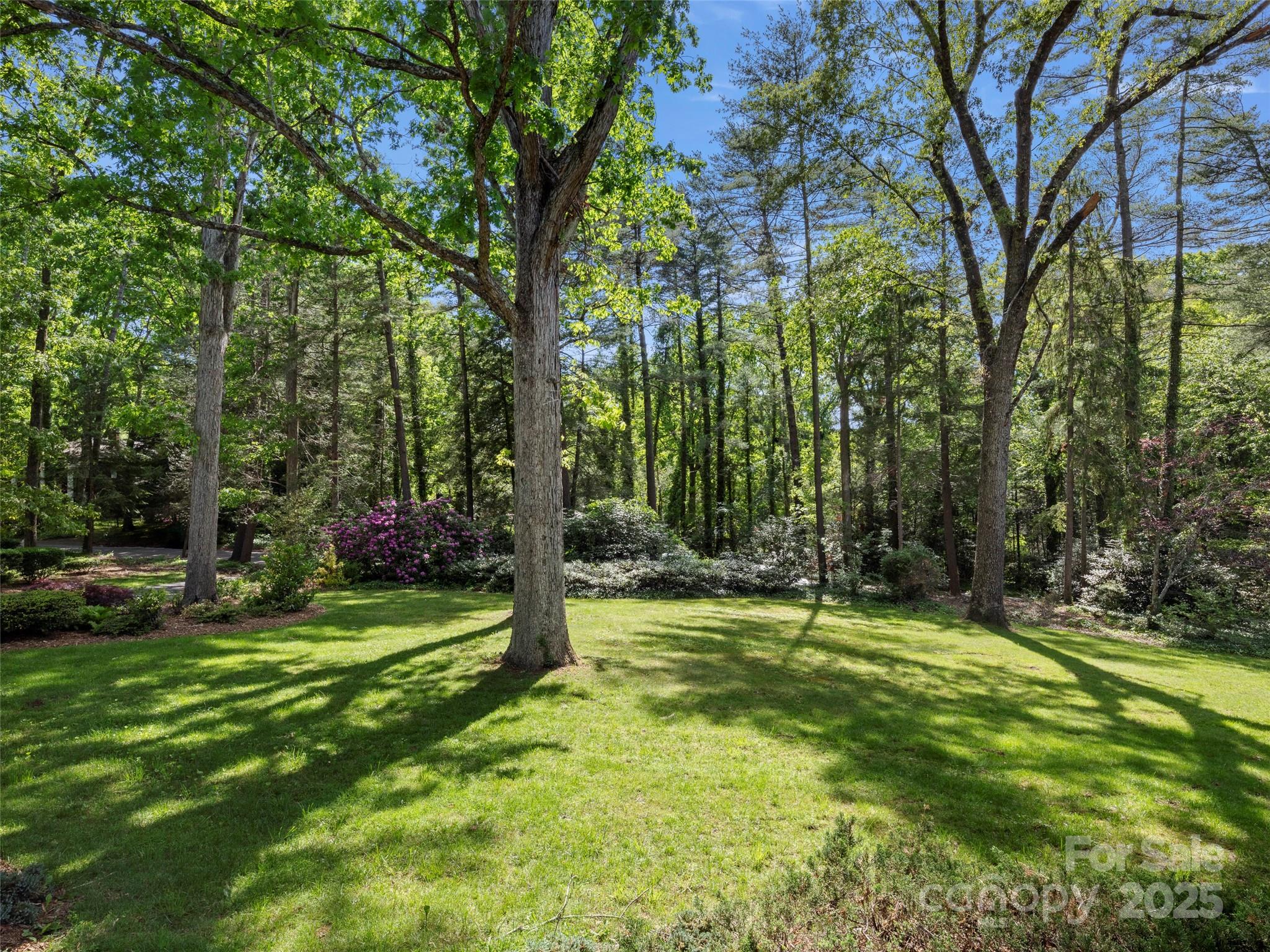 Biltmore Forest - Residential