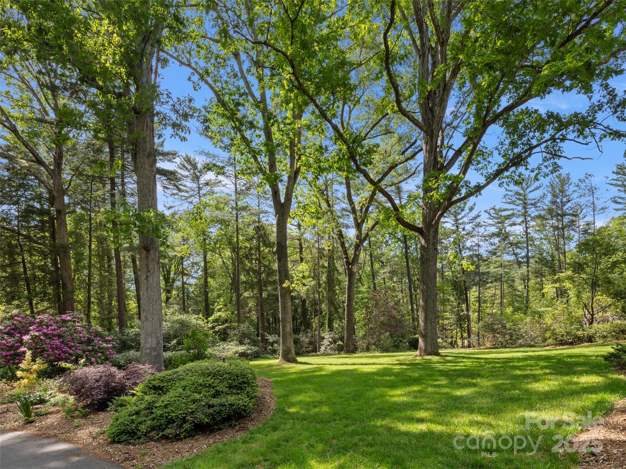 Biltmore Forest - Residential