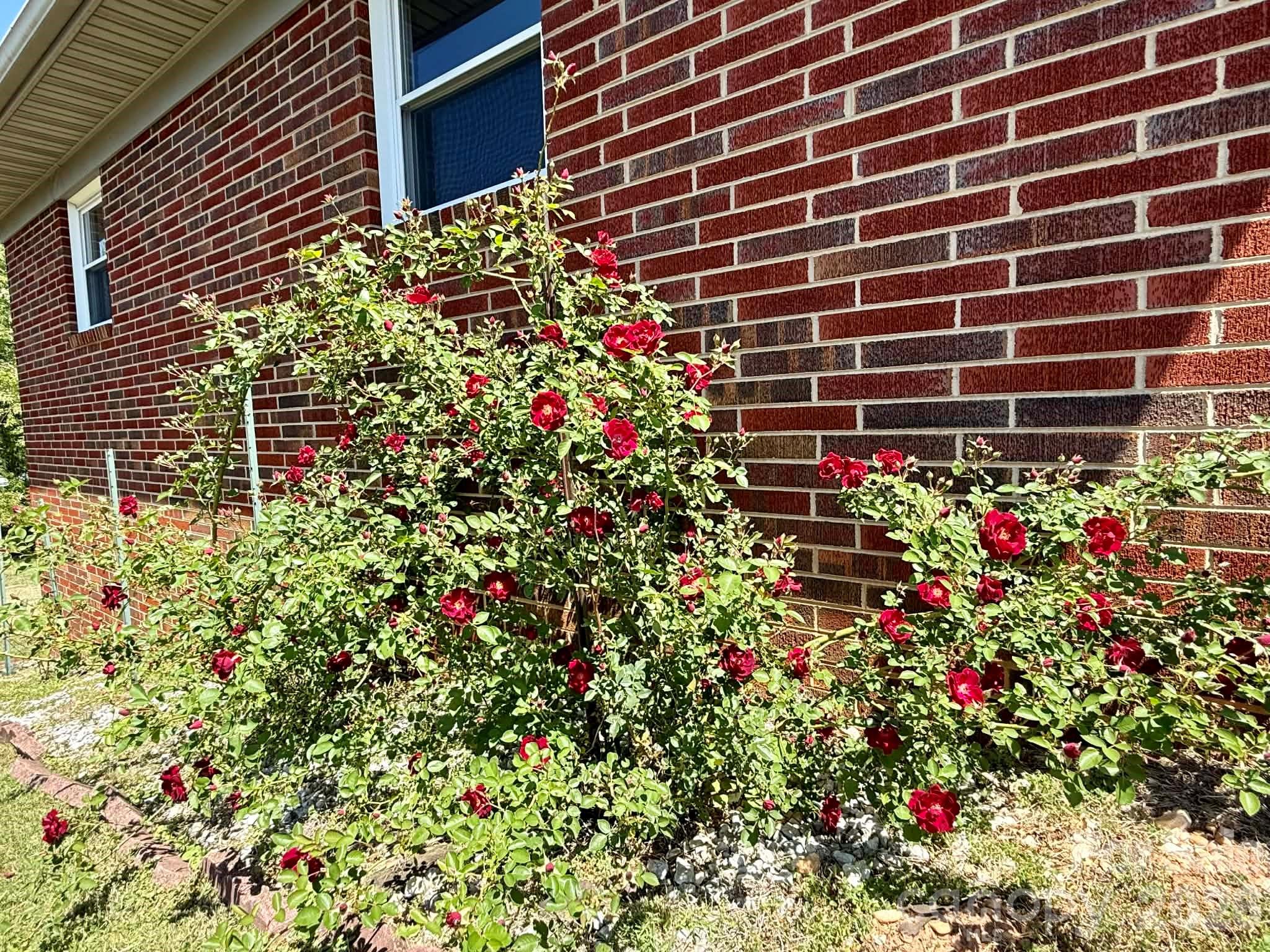 Admore Heights - Residential