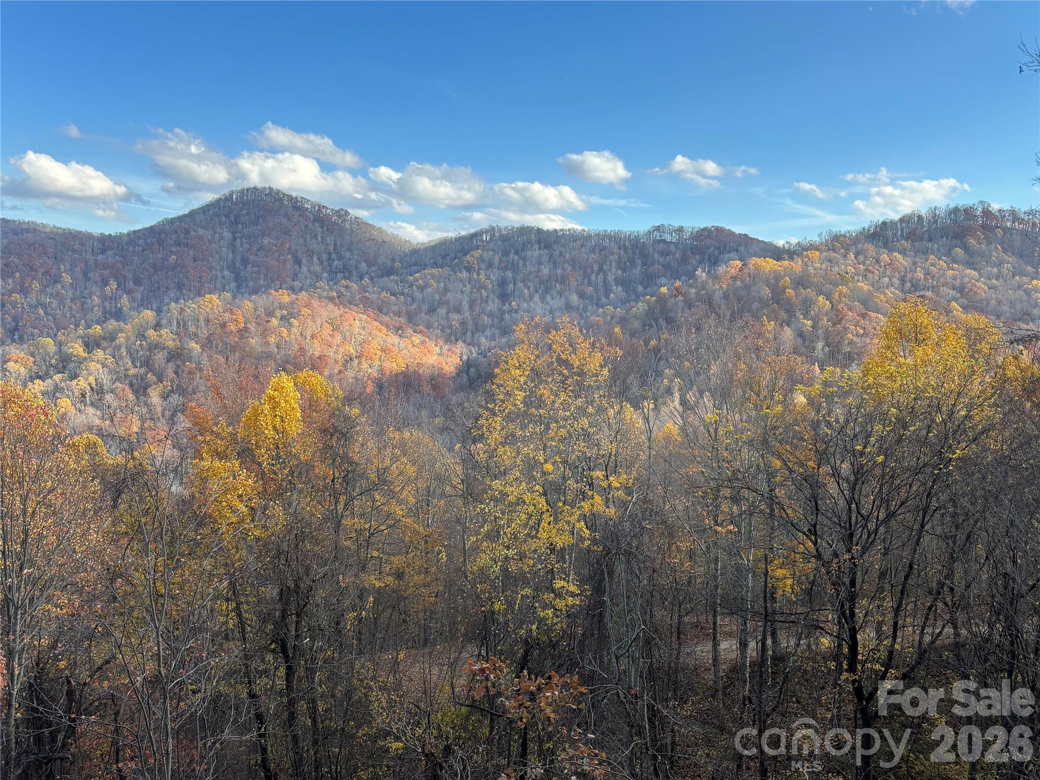(North Lot) Meadow Fork Road