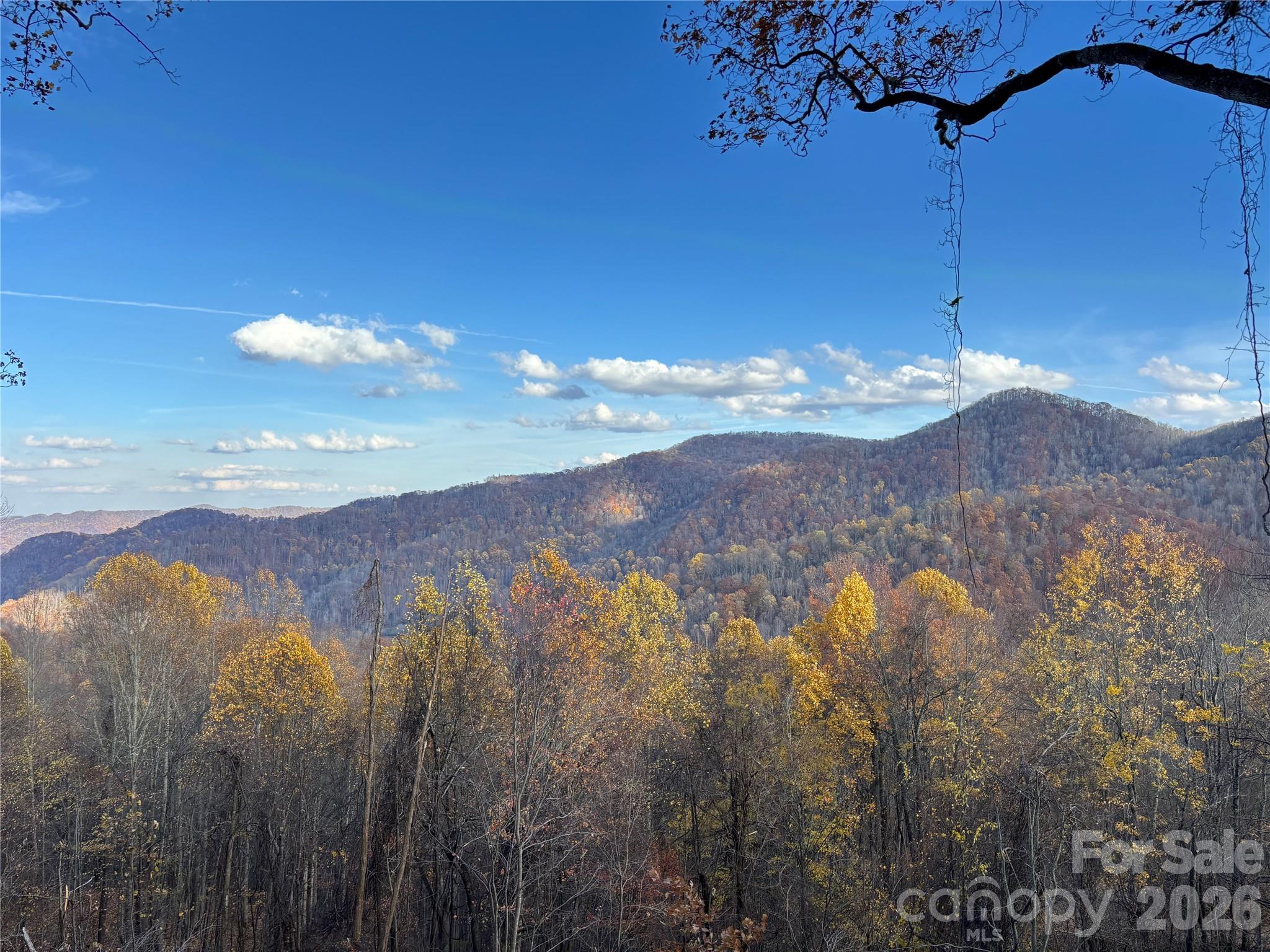 (North Lot) Meadow Fork Road