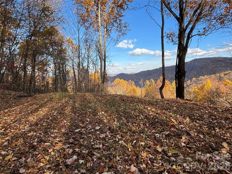 Photo of (North Lot) Meadow Fork Road, Hot Springs, NC 28743 (MLS # 4342413)