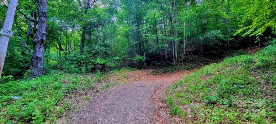 Back on the market, no fault of the Seller or this beautiful land. This is an amazing opportunity to live in mountain privacy, and be less than a mile from golfing at the beautiful Springdale Resort golf course, as well as the Pigeon River. This wonderful lot is tucked up a private gravel road in the heart of the Canton, North Carolina mountains and offers the option of potentially stunning east facing mountain views. Located right off of HWY 276, it is a short drive from the Blue Ridge Parkway as well as the quaint downtown of Canton, NC. There are no discovered, currently active CCR's for this property. The prior, existing CCR's have been attached, but were only valid for 25 years and are now Null and Void.