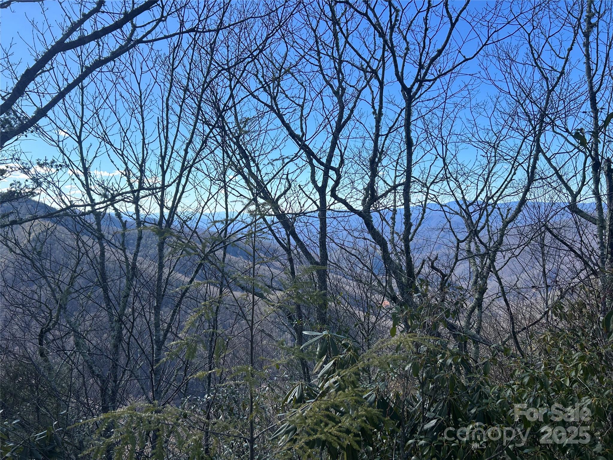 Black Rock Creek - Land