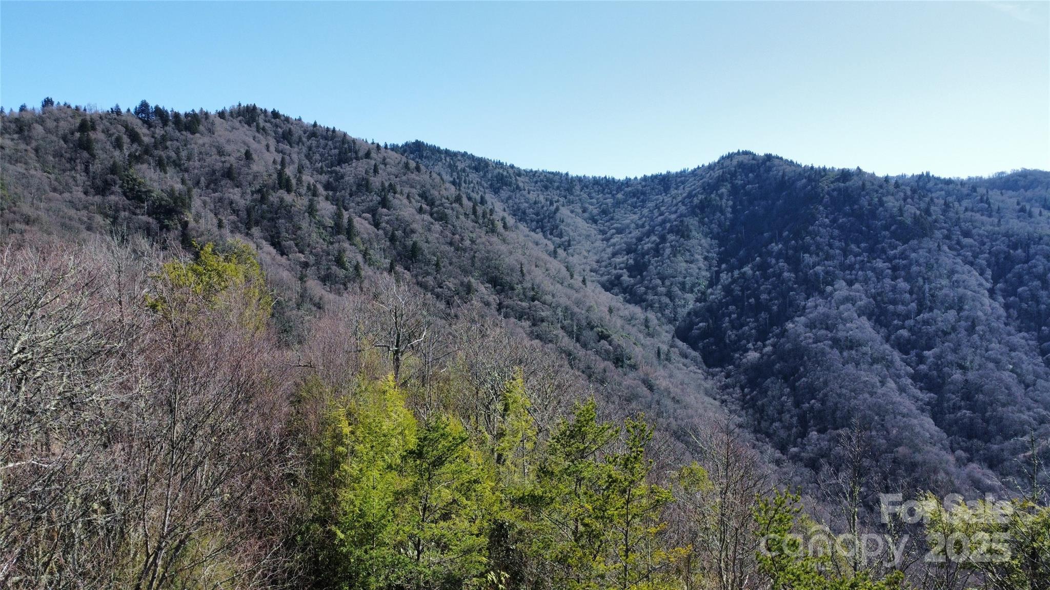 Lot 84 Black Rock Creek Creek 84