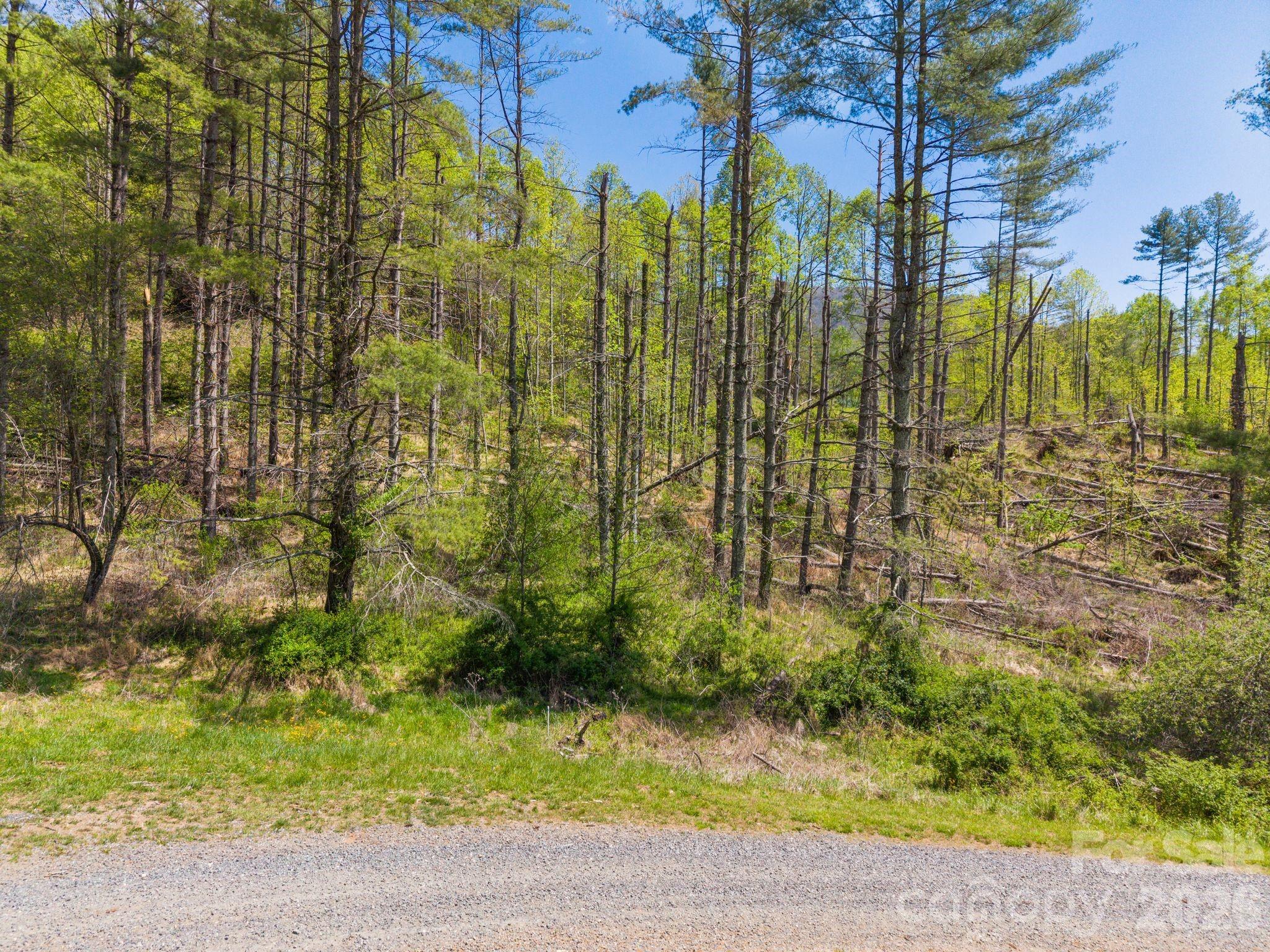 Beech Creek Estates - Land