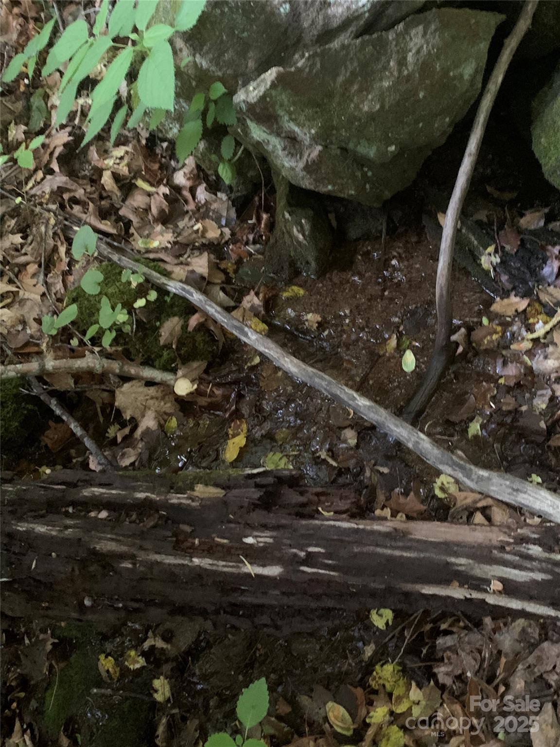 Sherwood Mountain - Land