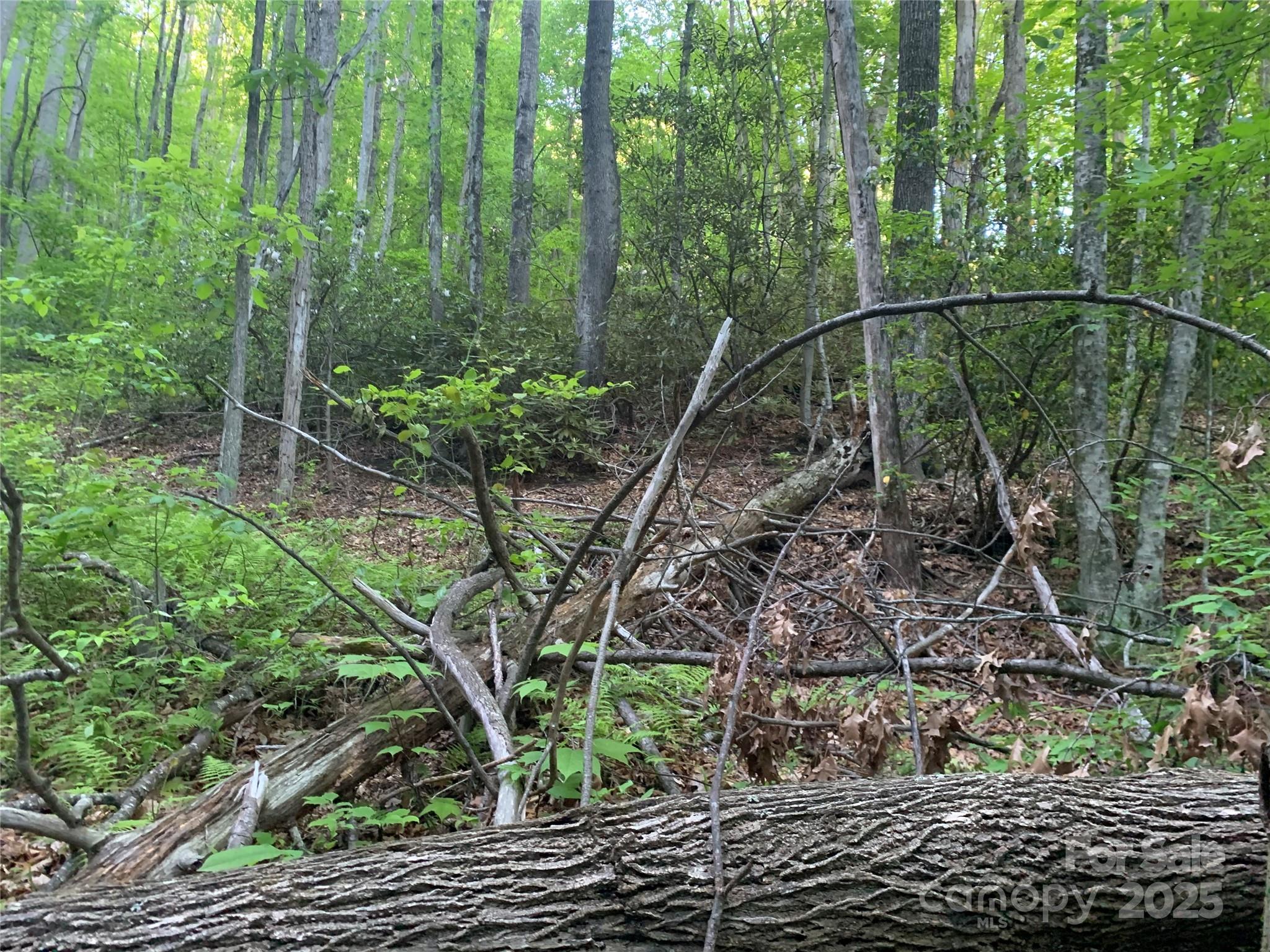 Sherwood Mountain - Land