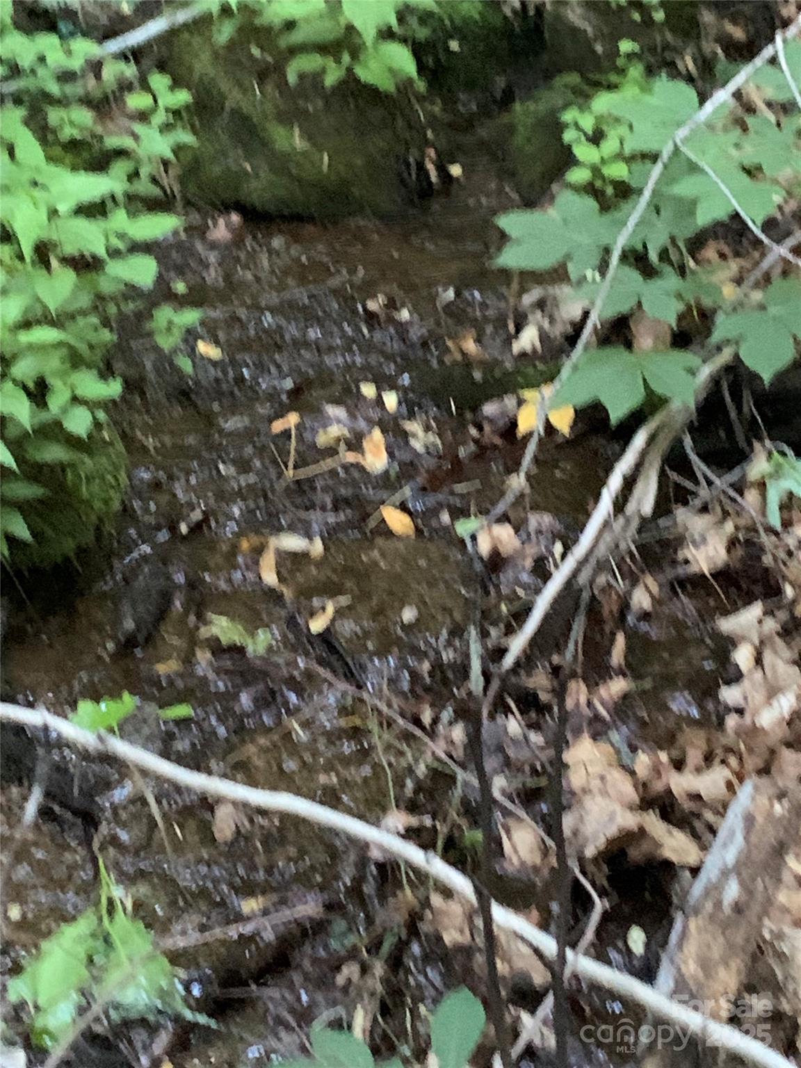 Sherwood Mountain - Land