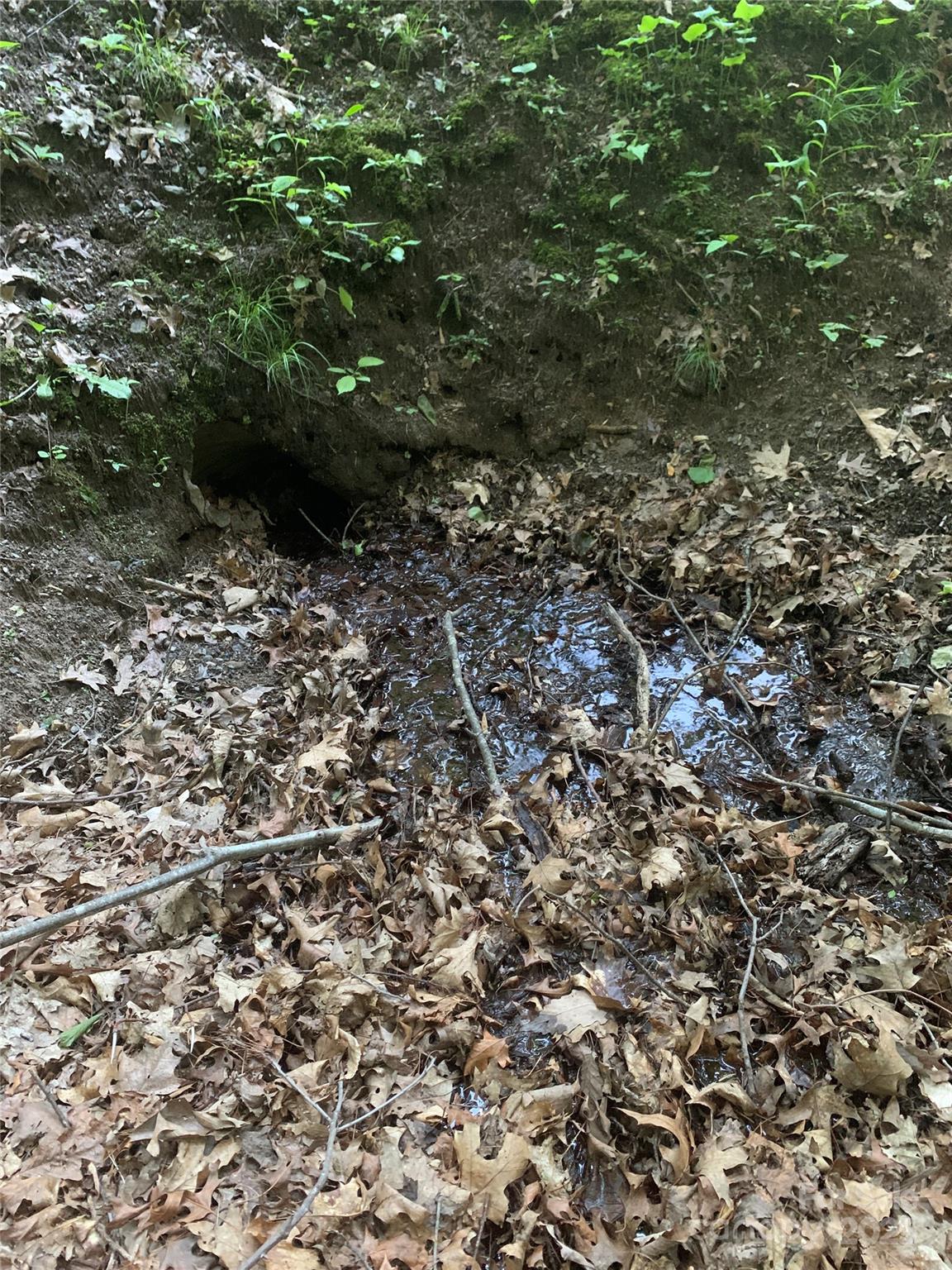 Sherwood Mountain - Land