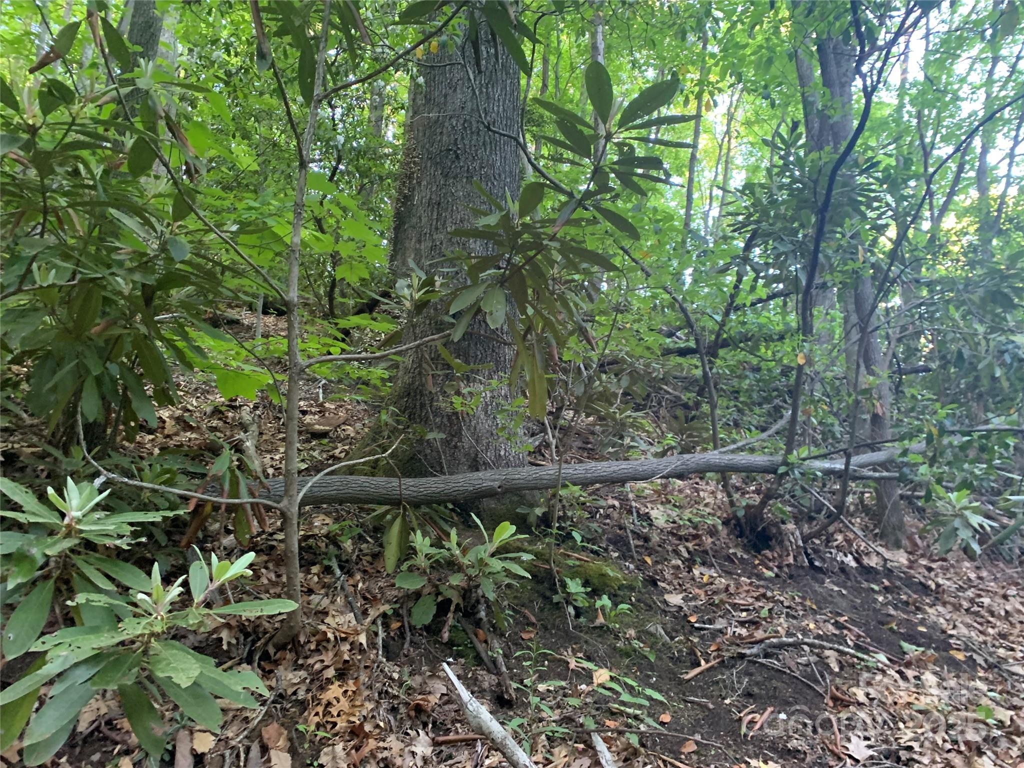 Sherwood Mountain - Land