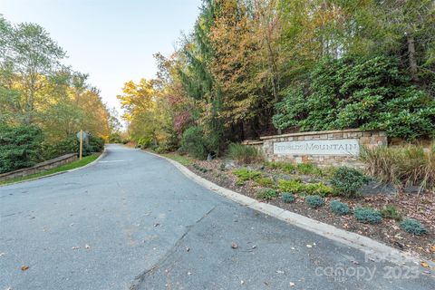 510 Sweetspire Ridge Asheville NC 28804