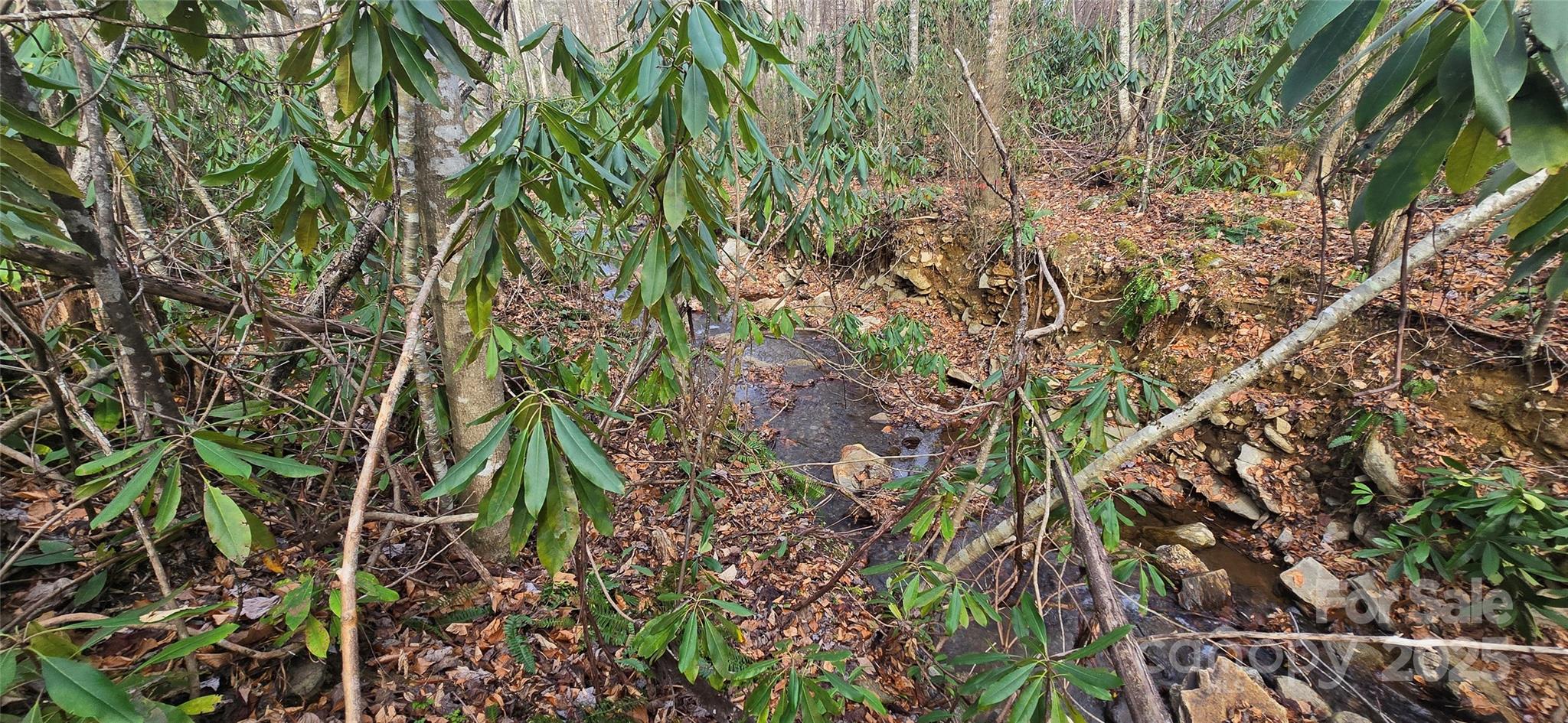 Lot 20 Twinbrook Lane