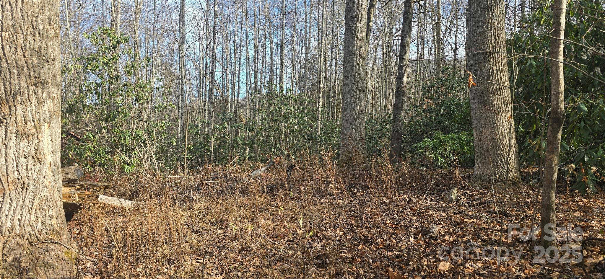 Twinbrooks Resort - Land