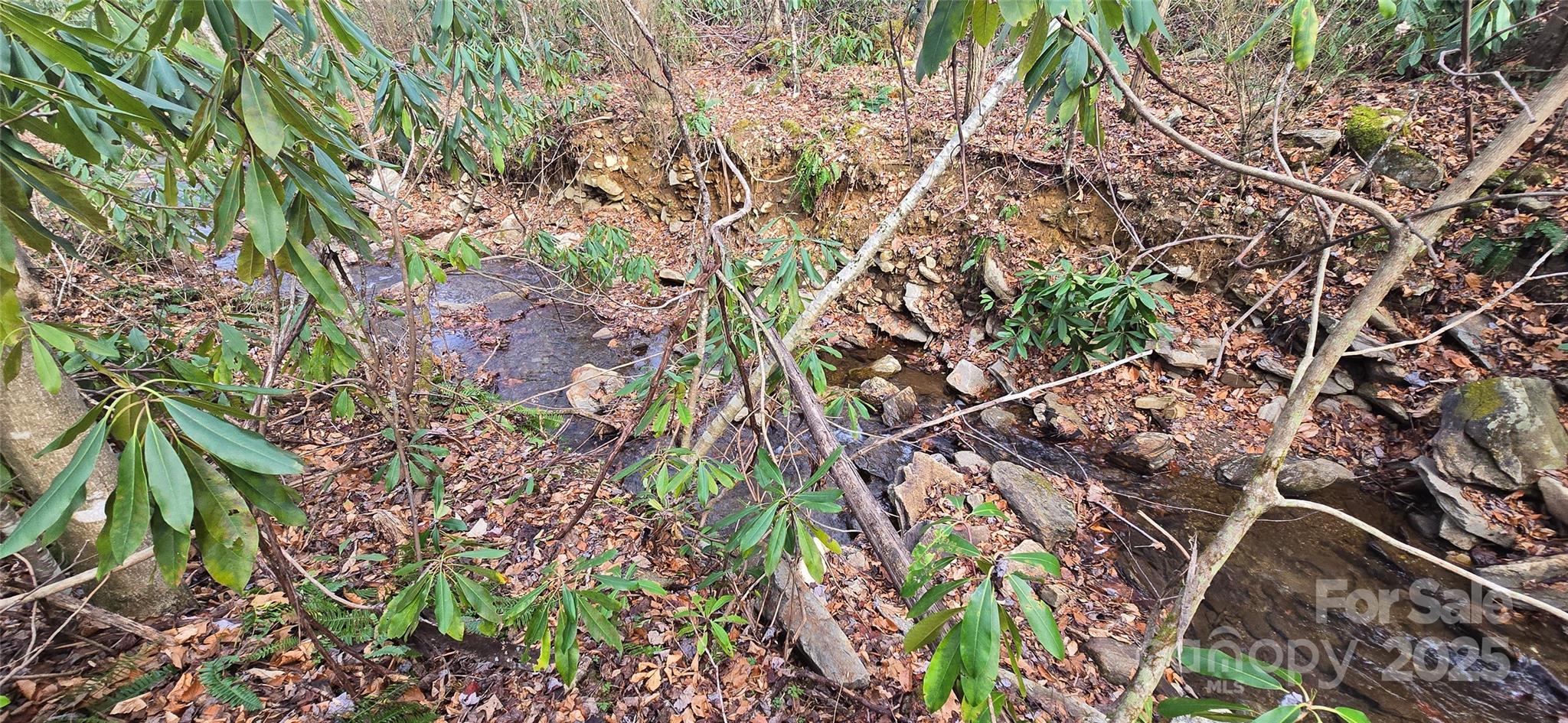 Twinbrooks Resort - Land