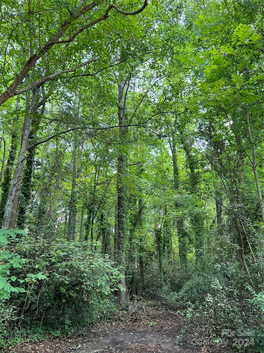 Could this serene wooded lot in a well-established neighborhood be the location for your new home?  This lot offers privacy with its large hardwoods and quiet road.  Located inside the city limits of Clover, SC it places you close to all this little historic town has to offer!  Just minutes from thriving downtown where you can grab a cup of coffee, shop, or enjoy dinner at a local restaurant!  It is also located close to schools, parks, grocery stores and so much more!  No HOAs and ready to be built on, hurry this one won't last long!