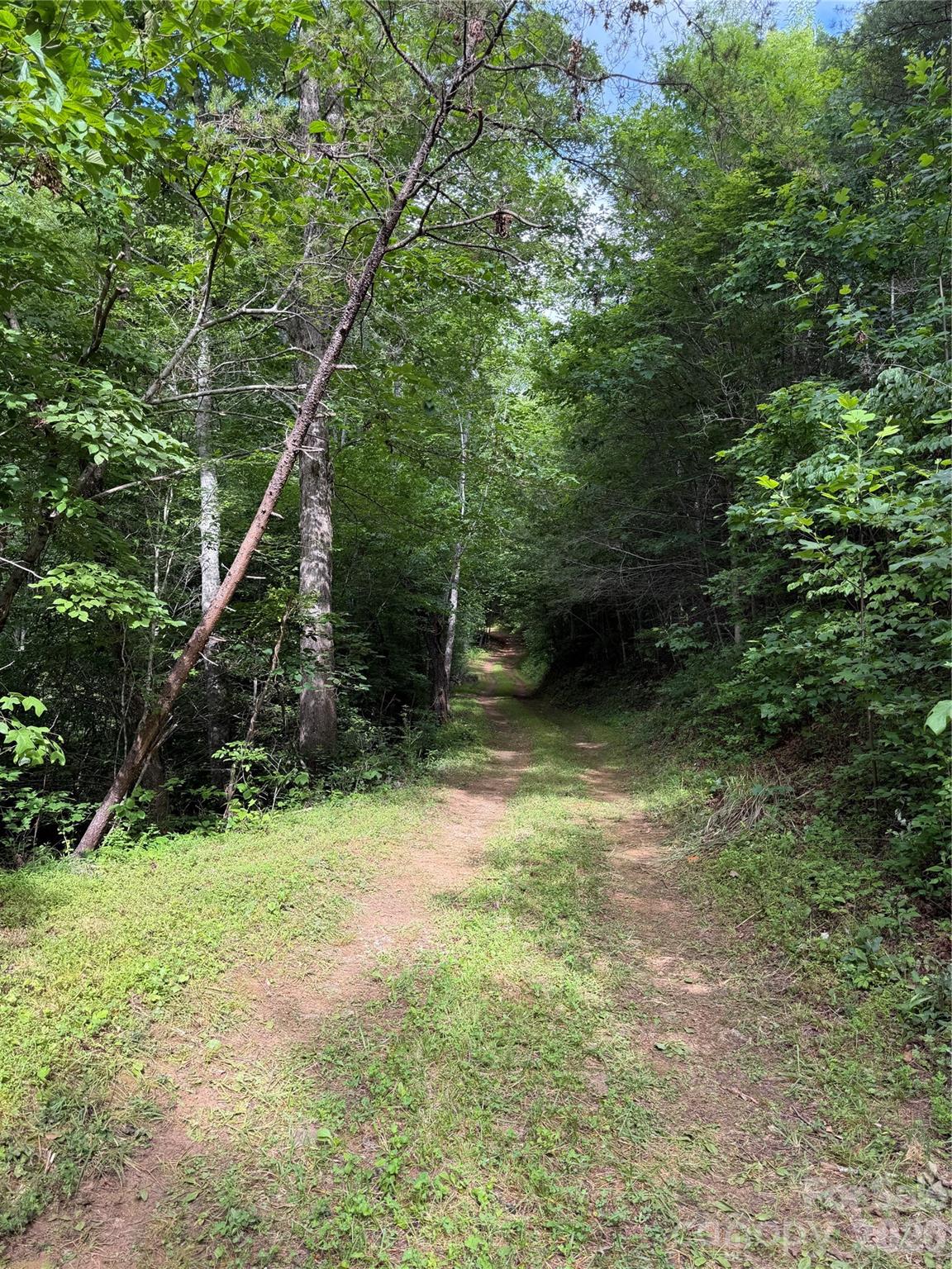 Lot 10 Parker Padgett Road