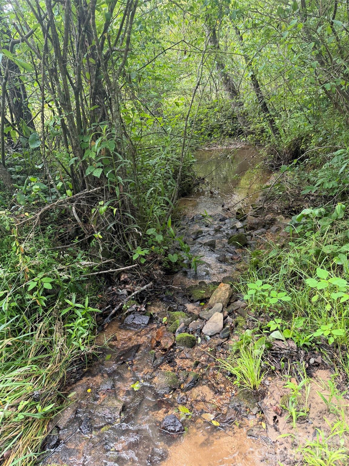 Lot 10 Parker Padgett Road