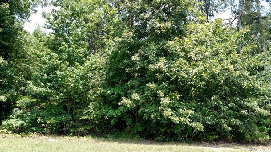 Corner lot to build your dream home!  City water available, tap fees required, lot will require septic, need to apply for permit and pay fees.