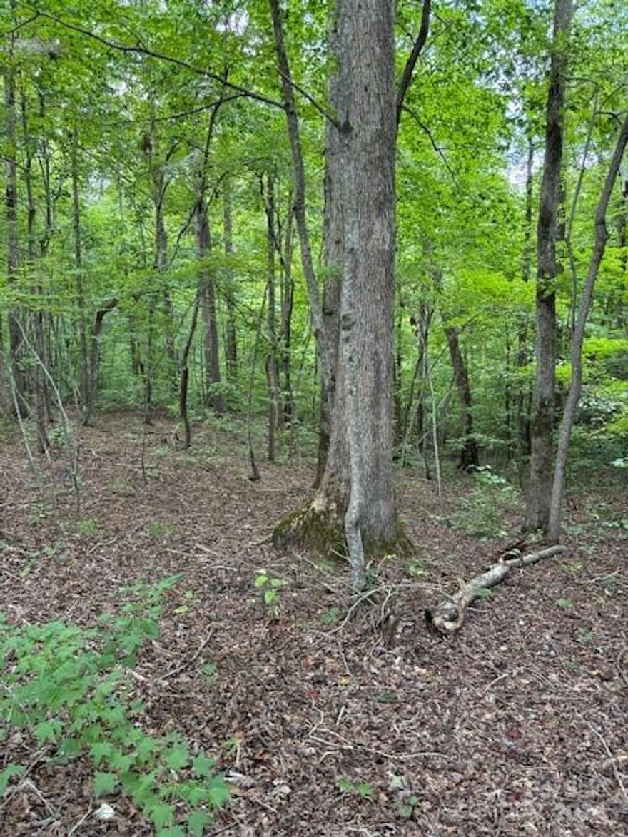 Private mature wooded lot on quiet dead end country road. No restrictions. Has not been perked. Low Lincoln County Taxes.