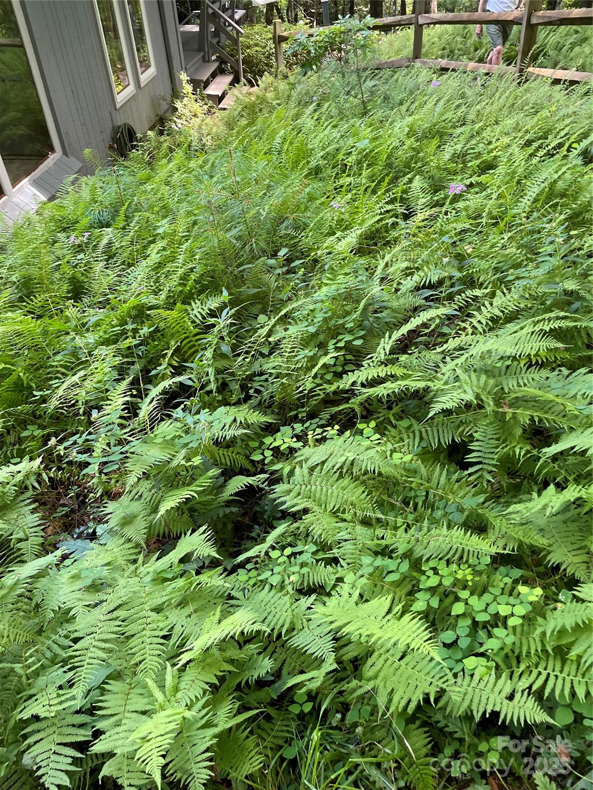 Sherwood Forest - Residential