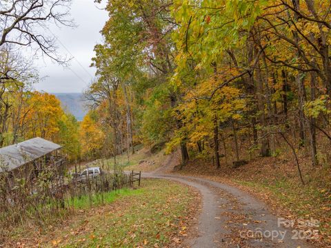 000 Sleepy Hollow Lane 13 Canton NC 28716