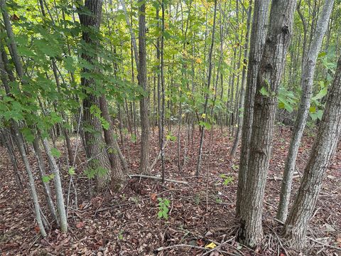 311 Scenic Vista Drive 254 Nebo NC 28761