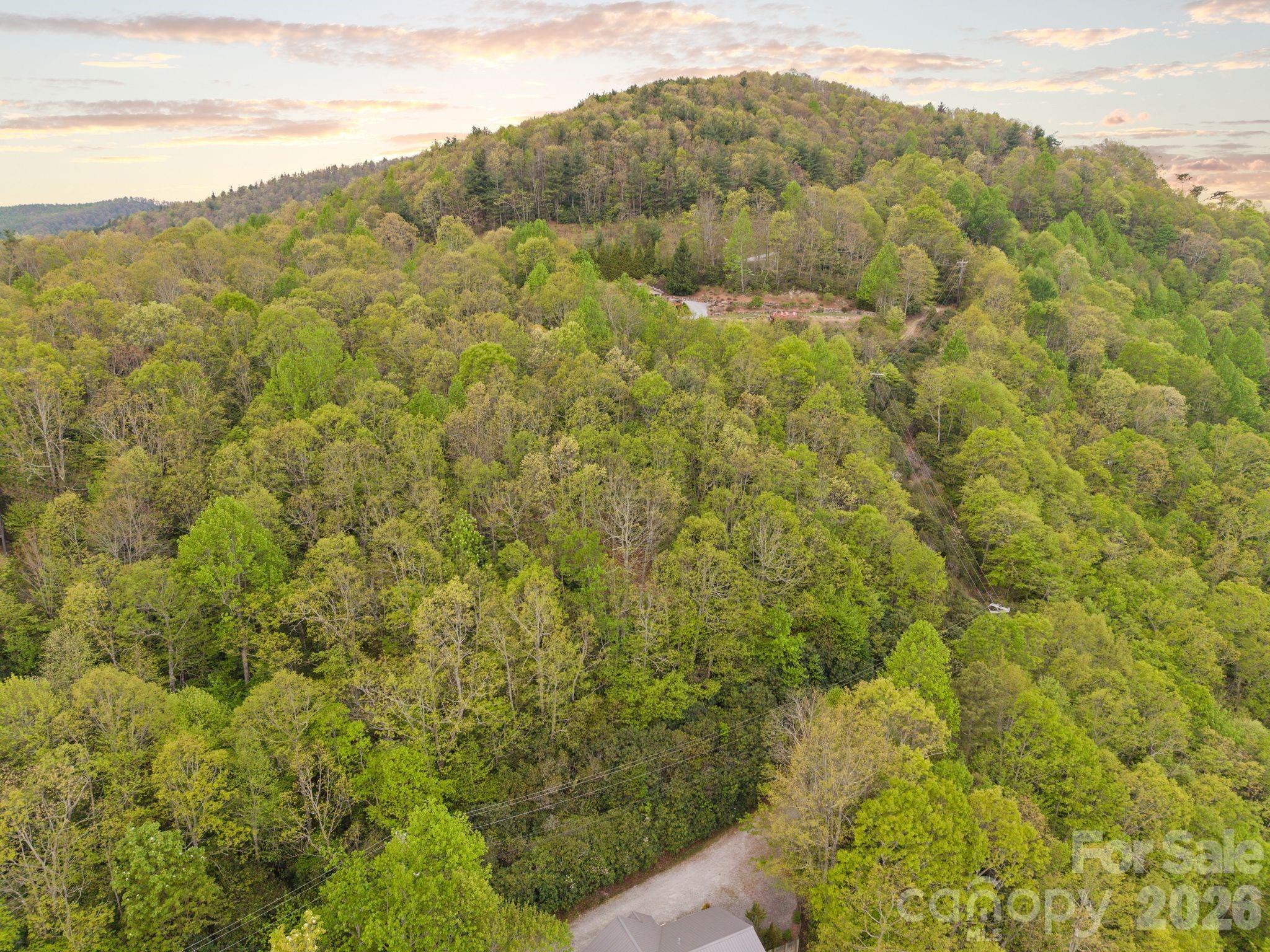 TBD Pinnacle Mountain Road