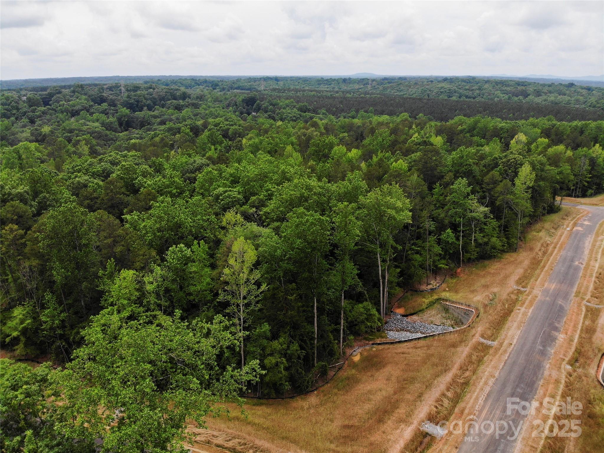 Southern Pine Lake - Land