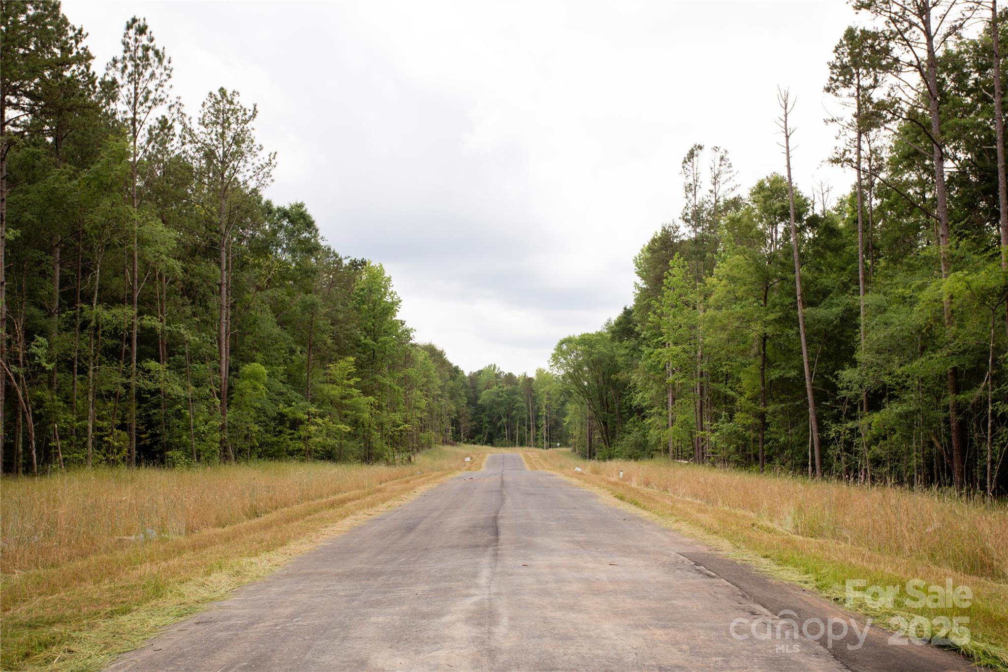 Southern Pine Lake - Land