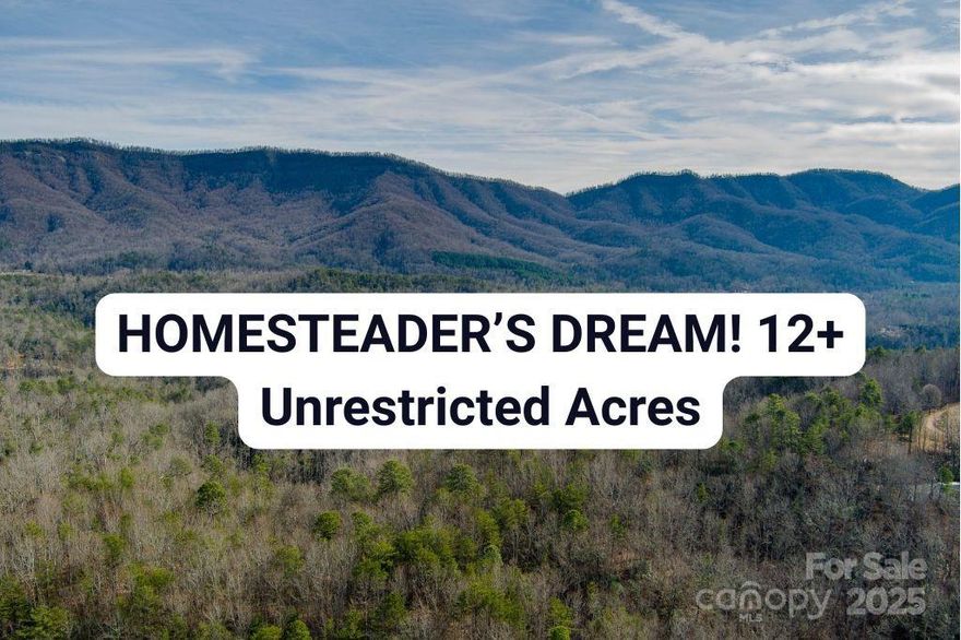 HOMESTEADER’S DREAM! Imagine waking up each morning surrounded by nature and the long-range mountain views of Mount Mitchell. This quiet 12+ acre property consists of four adjoining wooded parcels in Old Fort and offers the freedom of no restrictions and no HOA — a rare find for the price in the mountains.

The land is fully wooded and well suited for a private homestead, recreational use, or creating a secluded mountain retreat. With no restrictions, mobile homes are allowed, offering flexibility for a primary residence, second home, or multi-home setup. The multiple parcels also provide potential for a family compound or investment opportunities such as tiny homes or short-term retreat concepts. With elevation, the upper portions of the property could offer beautiful mountain views once selectively cleared.
