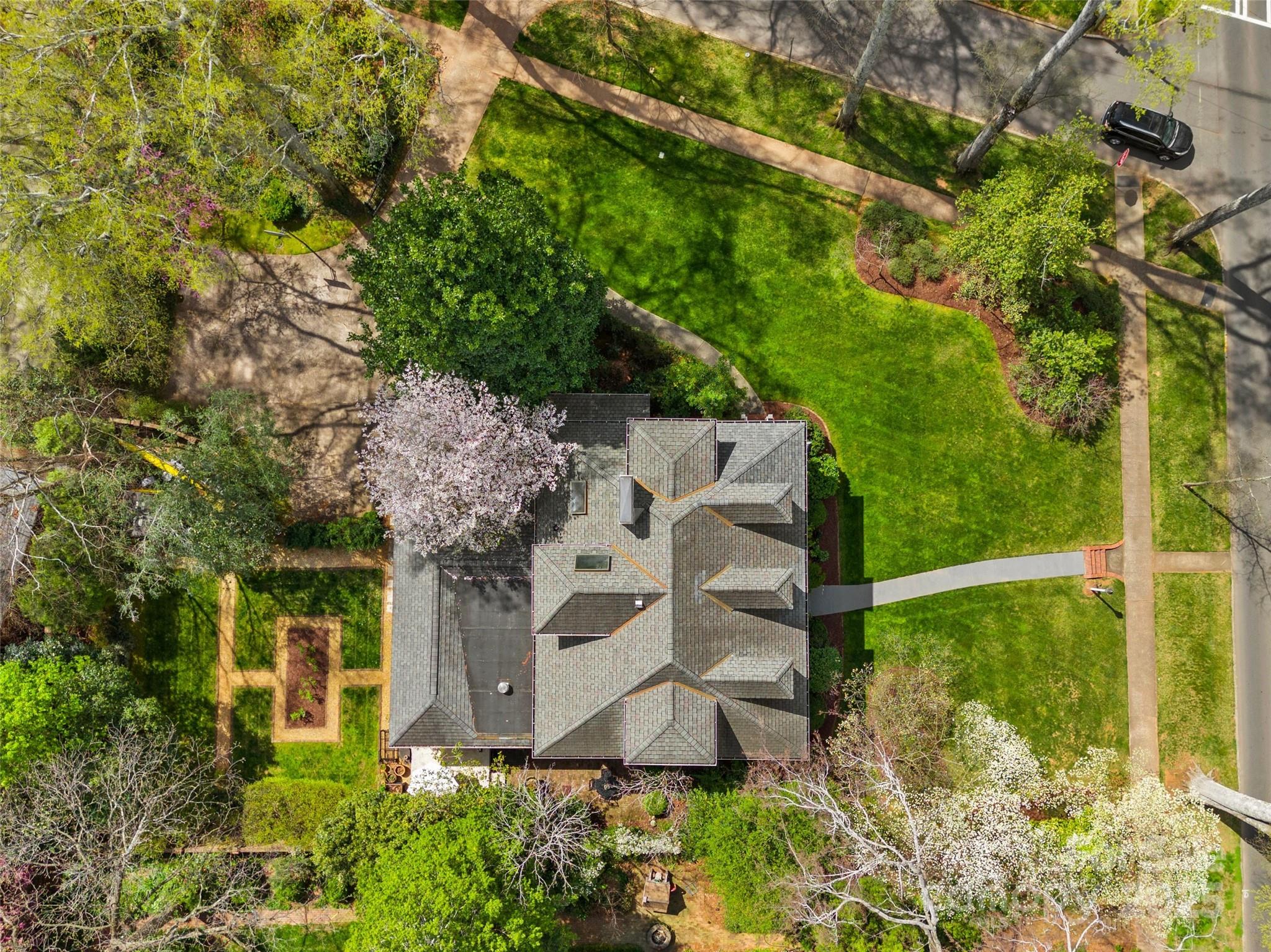 Myers Park - Residential