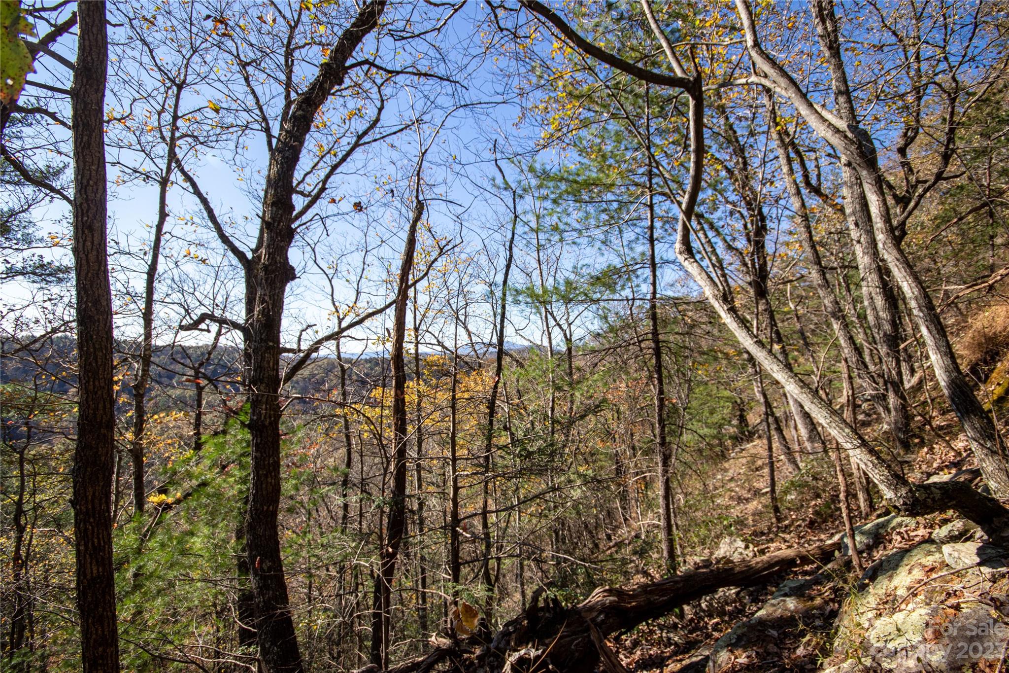 Lot# 547 Autumn Ridge 547