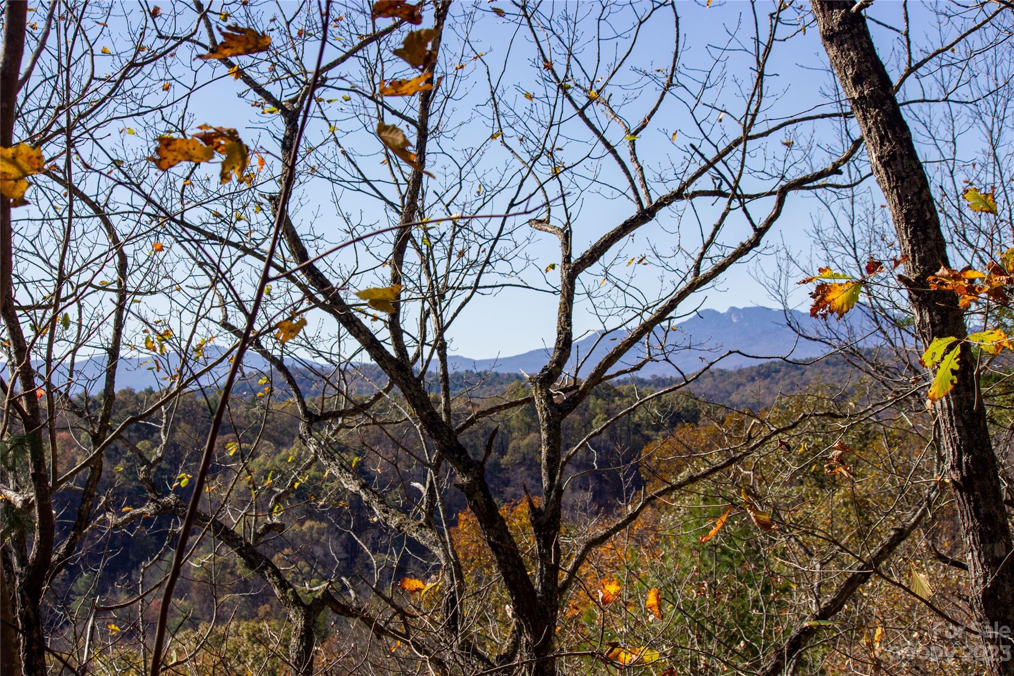 Lot# 547 Autumn Ridge 547