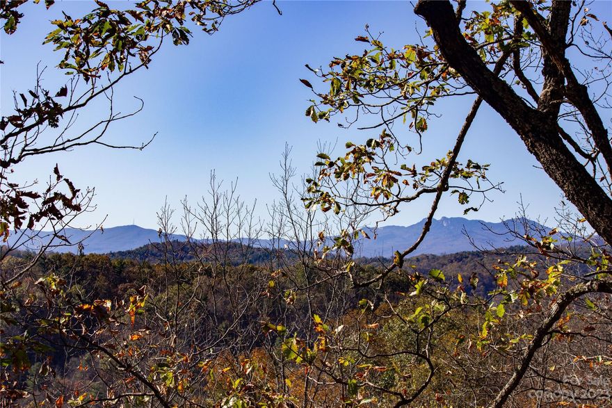 GRANDFATHER VIEWS FROM THIS LOT! This property, nestled in the Western NC mountains is only 10 minutes from Blowing Rock and less than 15 minutes from the Blue Ridge Parkway. Located just off of US Hwy 321 and within the gated community of Timber Rock, this lot provides a 6.01 Acre homesite. Once cleared, this lot would provide views of both Grandfather and Grandmother mountains along with Blowing Rock. Elevation ranges from 2000 to 2250 and affords the nice Summer temps without the Blowing Rock price!!  Amenities include a gorgeous outdoor pavilion with rock fireplace, kitchen, grilling area, picnic area by the Yadkin River, restrooms and plenty of space to host the perfect outdoor event! This is your opportunity to own and build your beautiful mountain home or weekend getaway!