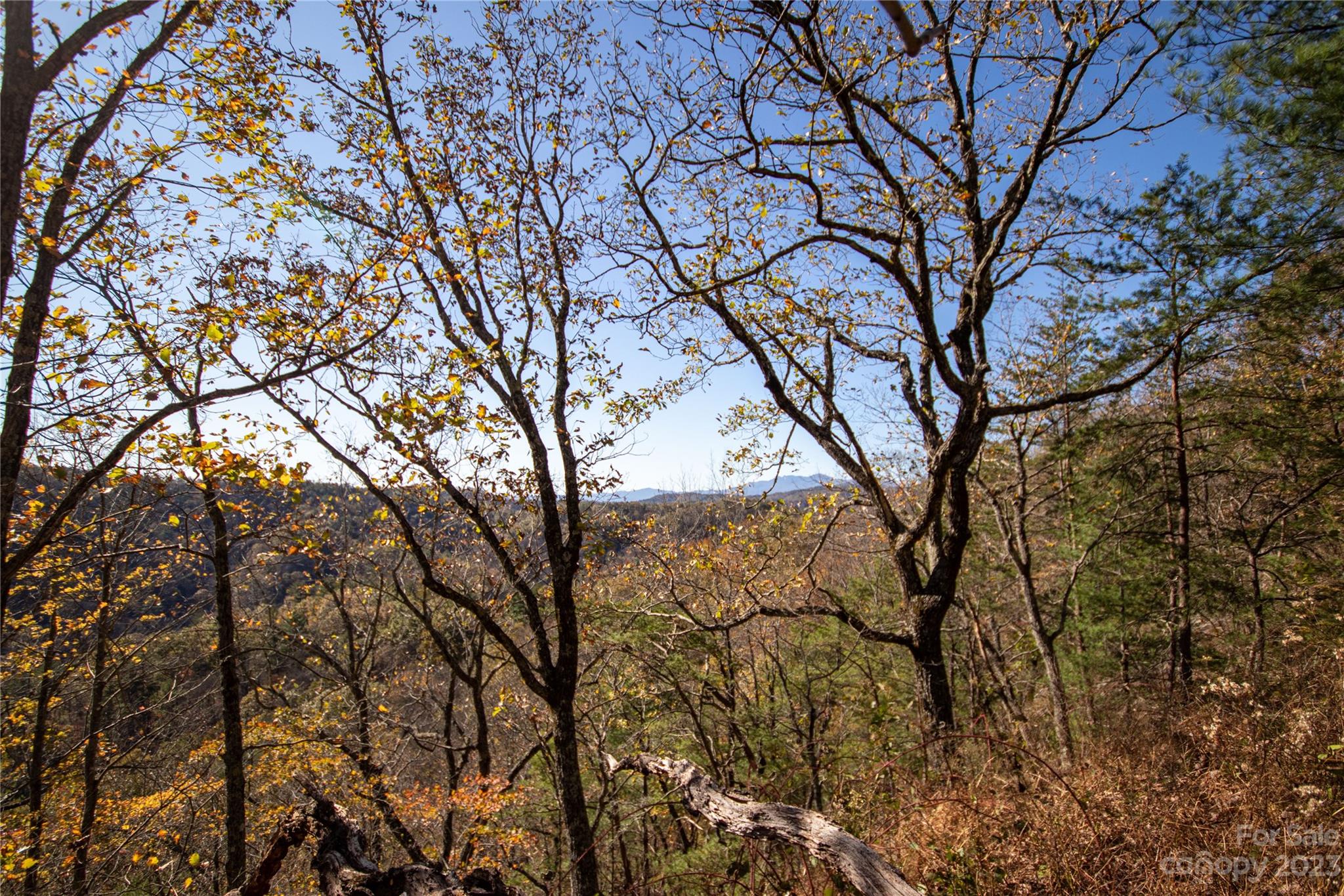 Lot# 547 Autumn Ridge 547