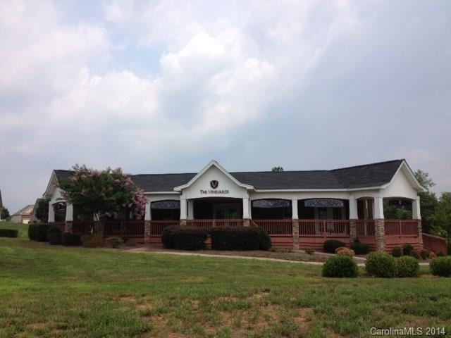 The Vineyards on Lake Wylie - Residential