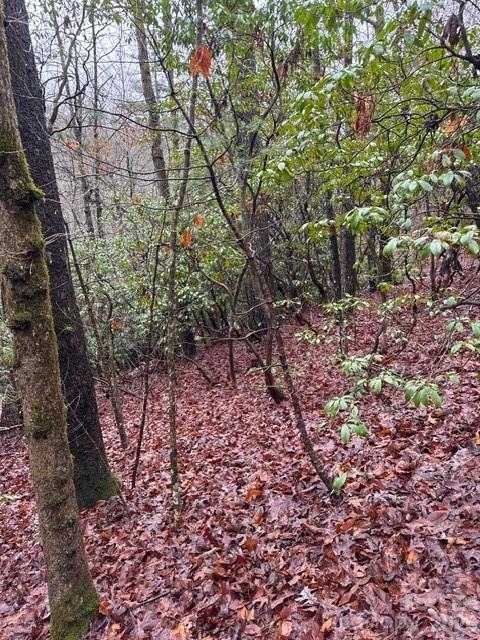 724 Blackgum Court #350