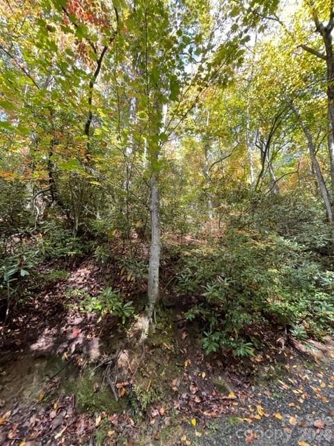 724 Blackgum Court #350