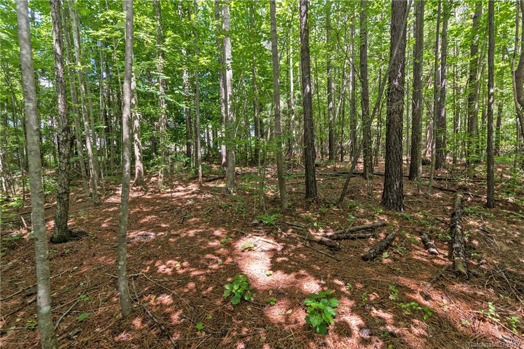 Bridgemill - Residential