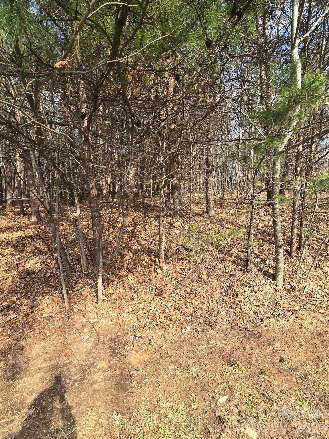 176 Broadview Circle